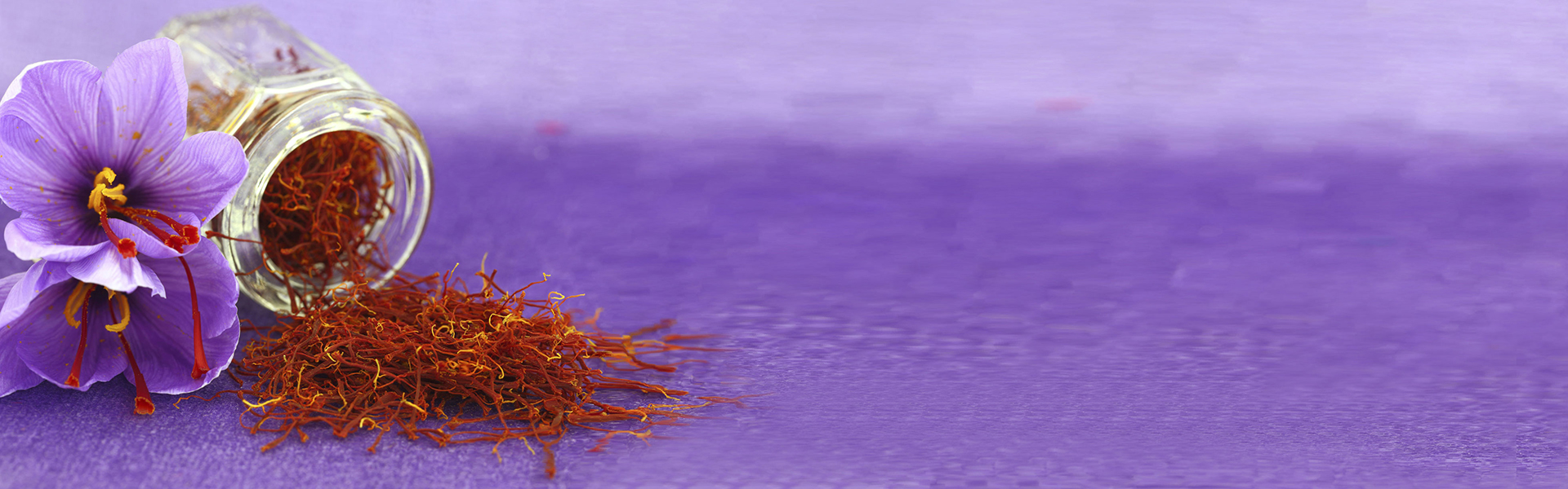 Iranian Saffron - The finest spice in the world